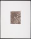 Portfolio 75, MFA Photography program, Rochester Institute of Technology