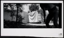 [Woman in bra and shorts (in shadow) in back yard]