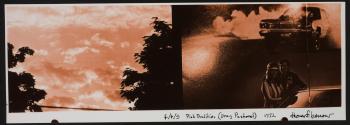 From the series, Pink Dualities (Drag Pastoral)