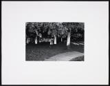 Portfolio 75, MFA Photography program, Rochester Institute of Technology