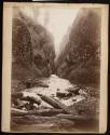 Oneonta Gorge, near Oneonta, Oregon.
