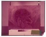 [Reproduction of painting]