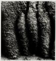 Bad Lands 48