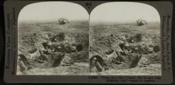 "Down in a shell crater, we foungt like Kilkenny cats." - Battle of Cambrai.