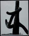 Saguaro 16 (Arizona) 1949