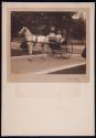 [Woman and man in horse-drawn carriage]