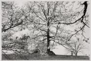 Gettysburg