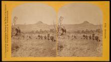Indians of the Colorado Valley