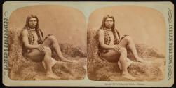 Beauty Unadorned, Paiute