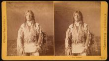 Ute Indians