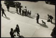 Street scene