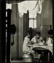 Harlem Document