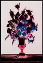 [Bouquet of flowers]