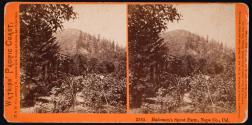 Hademon's Spout Farm, Napa Co., Cal.