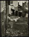 Harlem Document
