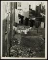 Harlem Document