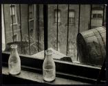 [Harlem Document]