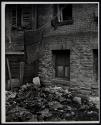 Backyard Vista Harlem Document