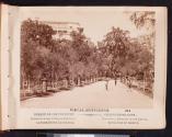 Bosque de Chapultepec. Galzada para subir al Castillo