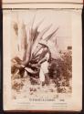 Tlachiquero carrying pulque. State of Mexico.