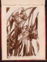 Eucalyptus leaves and pods