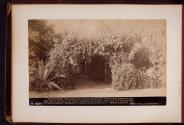[Vine covered arbor and house]
