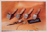 The Watch of Railroad Accuracy