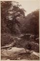 On The Wissahickon
