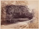 [Rural road]