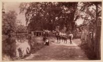 On the Morris Canal near Bloomfield, New Jersey