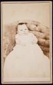 [Baby]