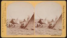 Shoshone Indians