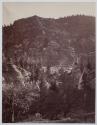 [Side of mountain with trees]