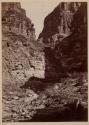 Cañon of Kanab Wash, looking North