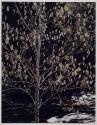 Thoreau Series