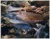 Thoreau Series