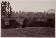 [Cone Mountain from base of Mt. Shasta]