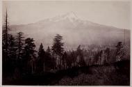 Mt. Shasta