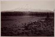 Mt. Shasta from the north