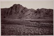[Volcanic niche of Mt. Shasta]