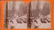 Studies on the Left Fork of the Teton River