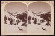 View in Alpine Pass, south side