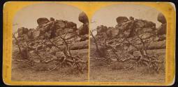 Scenes about Crow Creek, 6 miles N. of Sherman