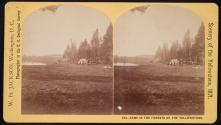 Camp in the Forests of the Yellowstone