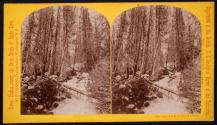 Left Fork of Teton River