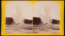 Old Faithful in Eruption.