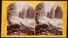 Upper Canon of Middle Creek.