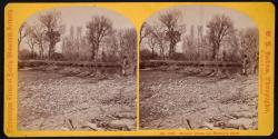 Beaver Dam, on Henry's Fork