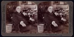Without Stereoscopic Effect [William McKinley]