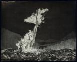 [Landscape with Tree]